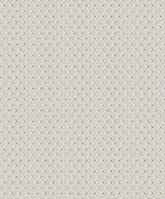 Shiny Diamond 650628